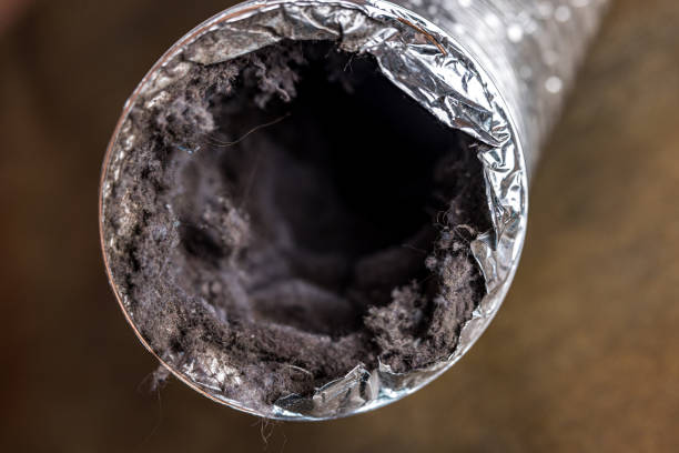 Best HVAC Duct Inspection Services  in New Castle, IN